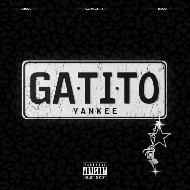 Gatito Yankee