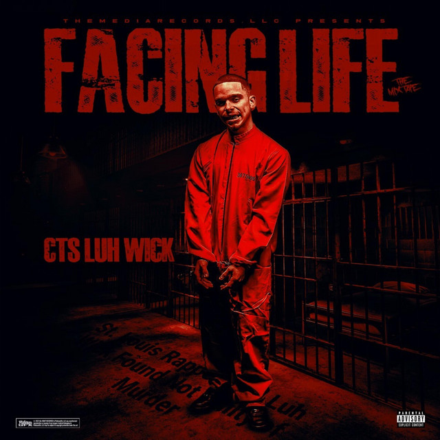 Facing Life cover art