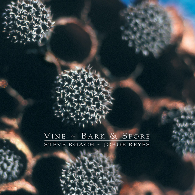 Vine ~ Bark & Spore cover art