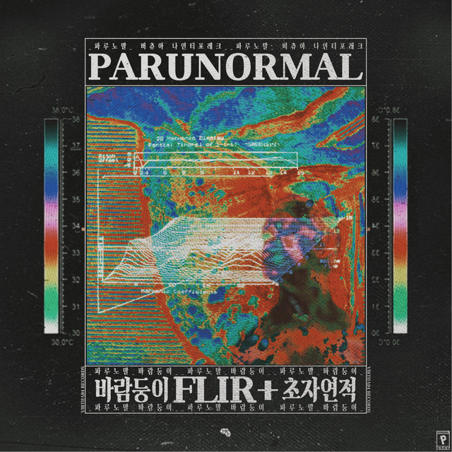 FLIR cover art