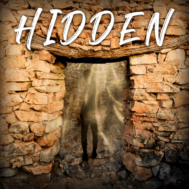 Hidden cover art