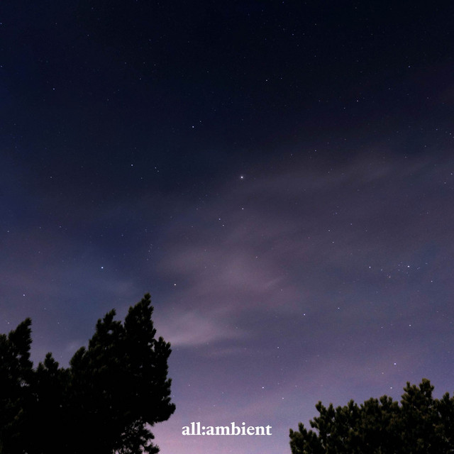 The Night Breathes