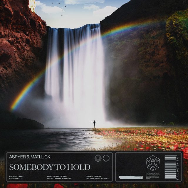 Somebody To Hold - Extended Mix album art