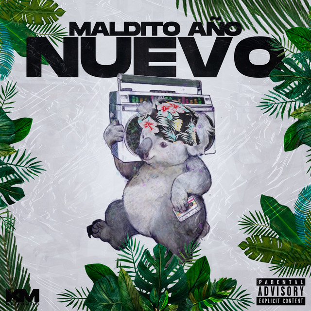 Maldito Año Nuevo (Remix) cover art