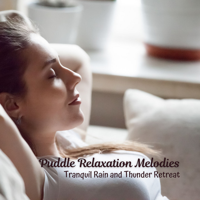Puddle Relaxation Melodies: Tranquil Rain and Thunder Retreat cover art