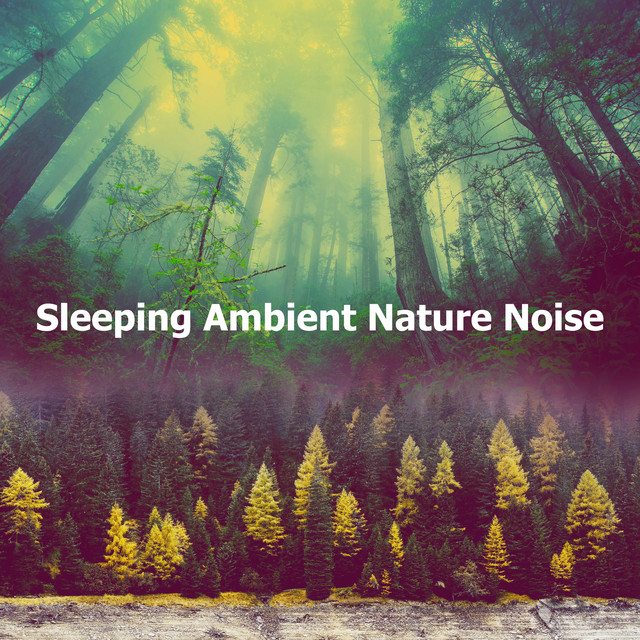 Sleeping Ambient Nature Noise - Album by Sleep Sounds Ambient Noises ...