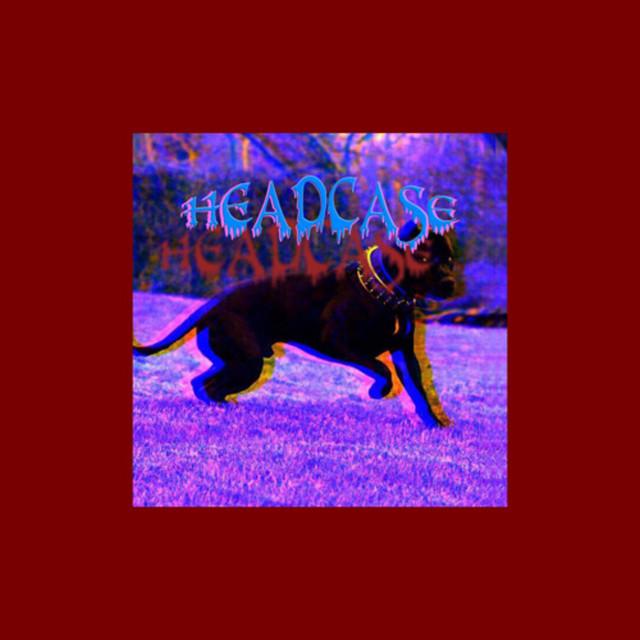 Headcase cover art