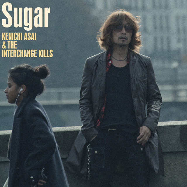 Vinegar - song and lyrics by 浅井健一＆THE INTERCHANGE KILLS | Spotify