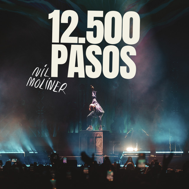12.500 PASOS (al Palau Sant Jordi) cover art