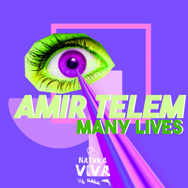 Обкладинка Amir Telem — Many Lives