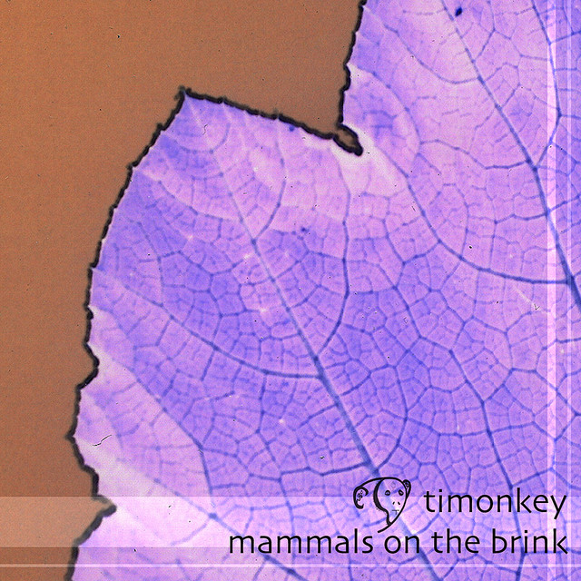 Mammals On The Brink cover