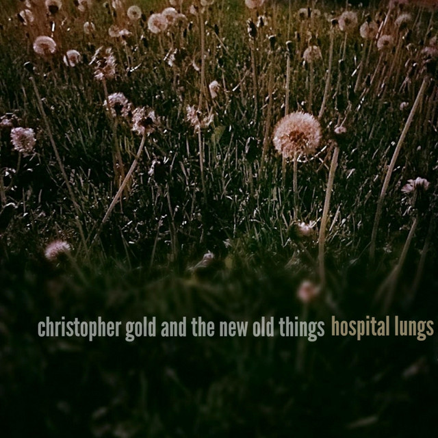 Hospital Lungs cover