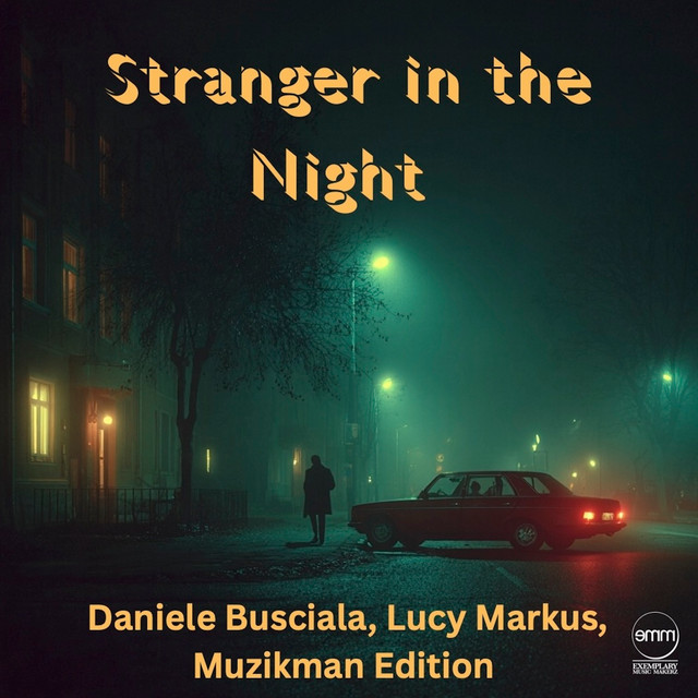Stranger In The Night cover art