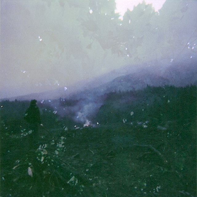 The Holy Forest cover