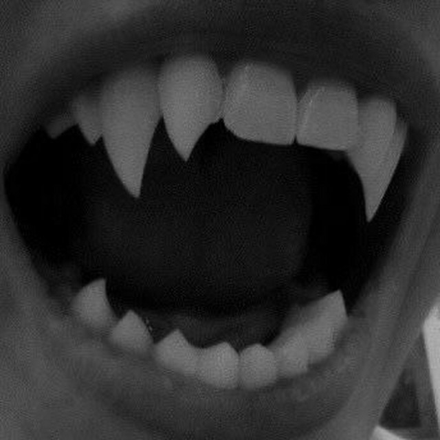 VAMPIRE cover art
