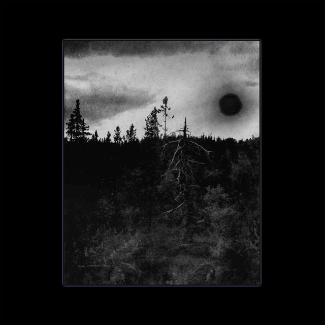 Primevial Desires cover art
