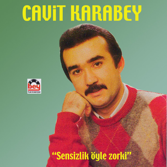 Sensizlik Öyle Zorki cover art