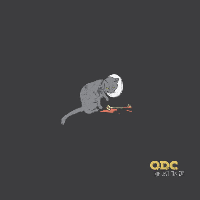 Nie Jest Tak Źle cover art