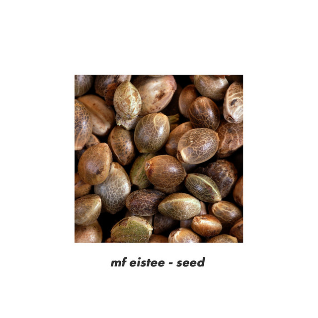 seed by MF Eistee