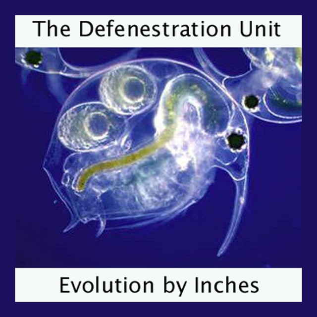 The Defenestration Unit Concert & Tour History | Concert Archives