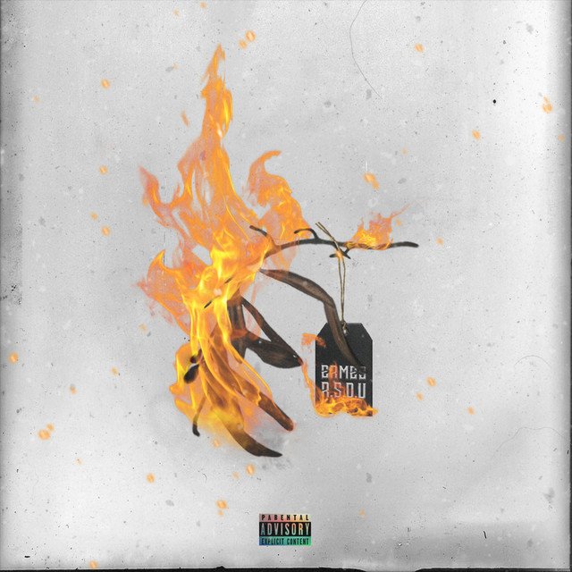 I Rami Secchi Degli Ulivi cover art