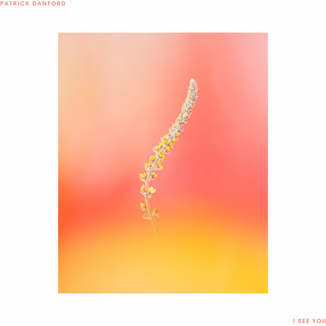 I See You cover art