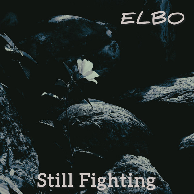 Still Fighting cover art