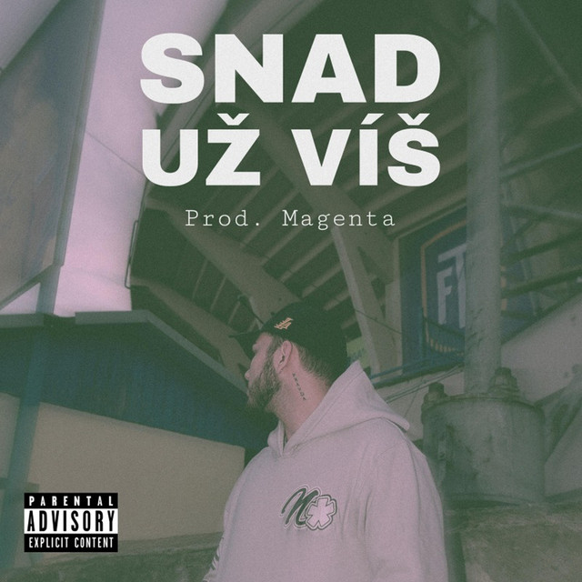 Snad už víš artwork