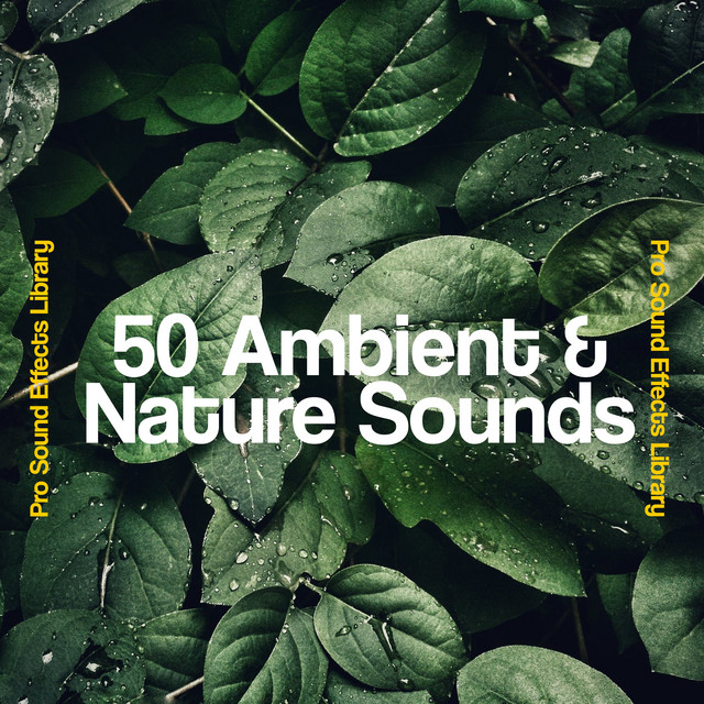 An Ancient Storm - song and lyrics by Pro Sound Effects Library | Spotify