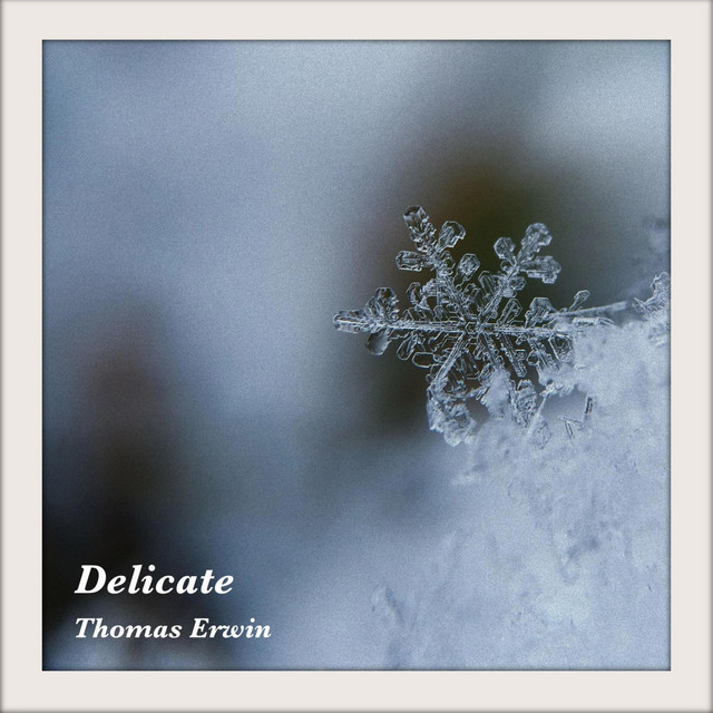 Delicate cover art