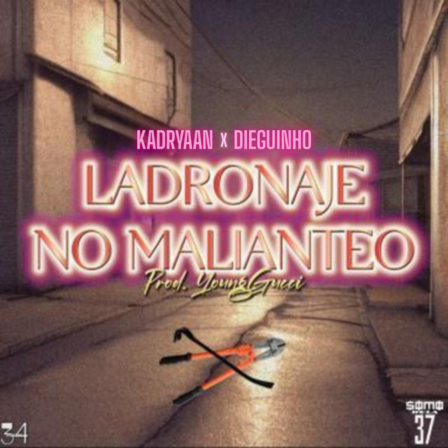 Ladronaje No Malianteo