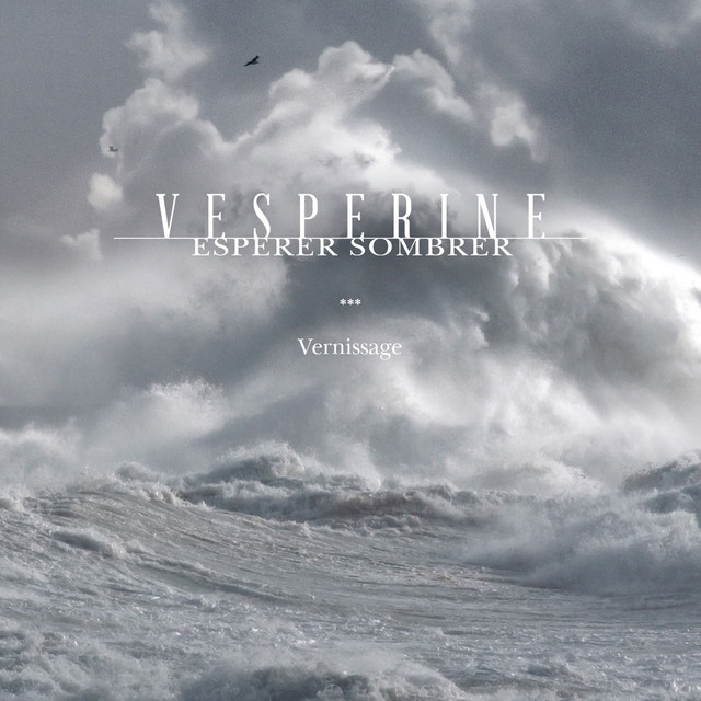 Espérer sombrer (Vernissage) cover art