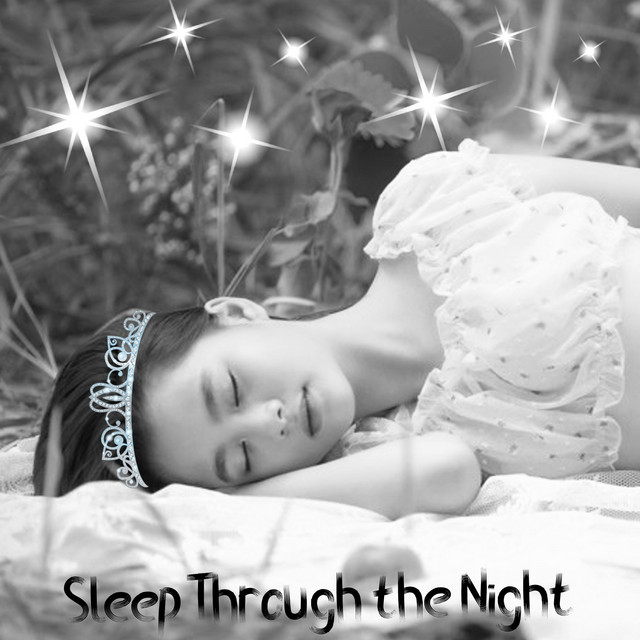 Sleep Through The Night cover art