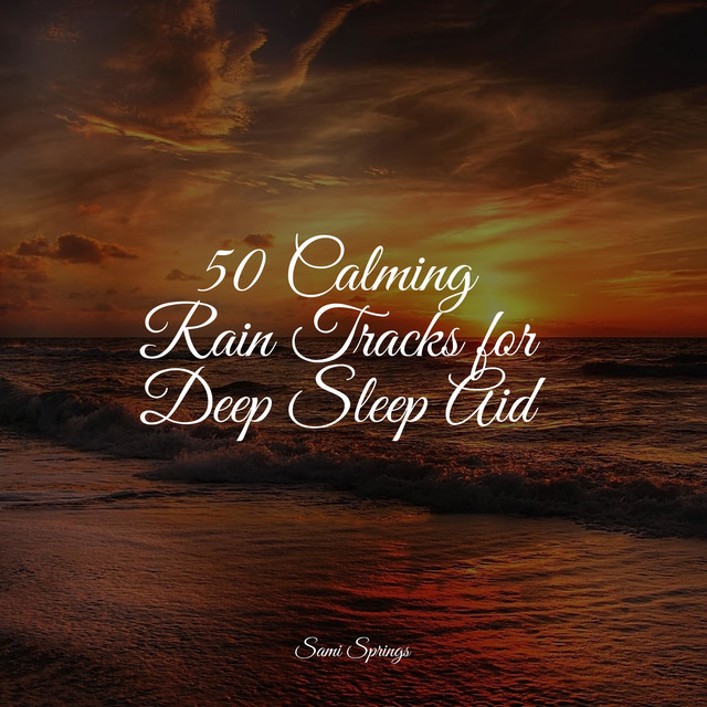 50 Calming Rain Tracks for Deep Sleep Aid - Album by Preschool Kids ...