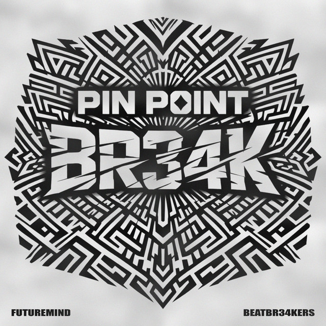 Pin Point Br34k cover