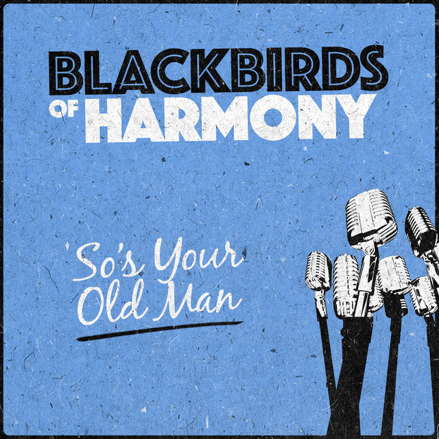Blackbird Harmony Photo