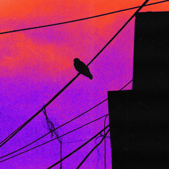 Black Crow cover art