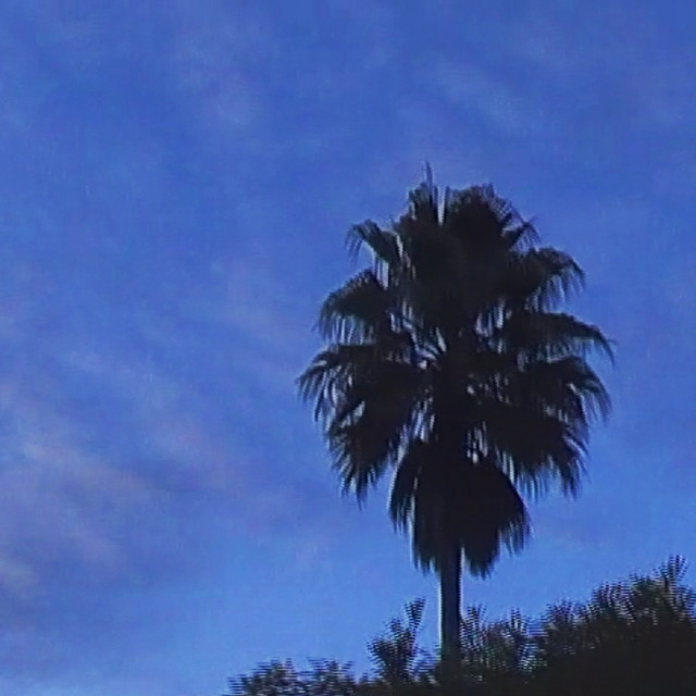 Lowly / .0k cover art
