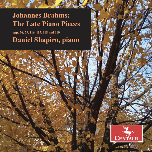 Brahms: The Late Piano Pieces