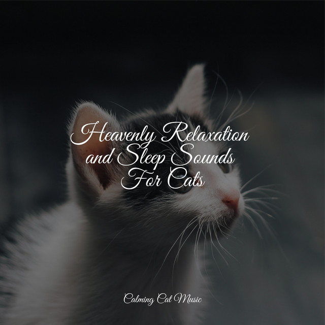 Heavenly Relaxation and Sleep Sounds For Cats - Album by Calm Music for ...