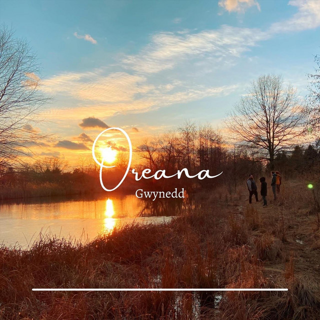 Gwynedd (single)