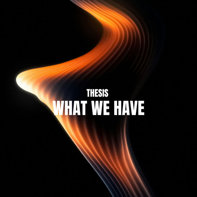 What We Have - Radio Edit