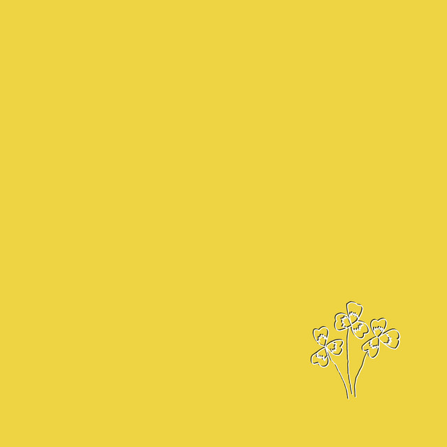 gelb cover