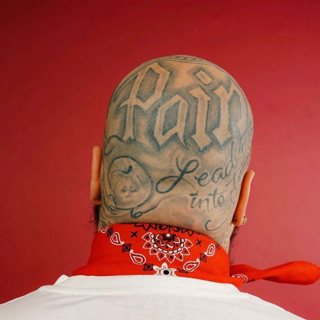 pain cover art