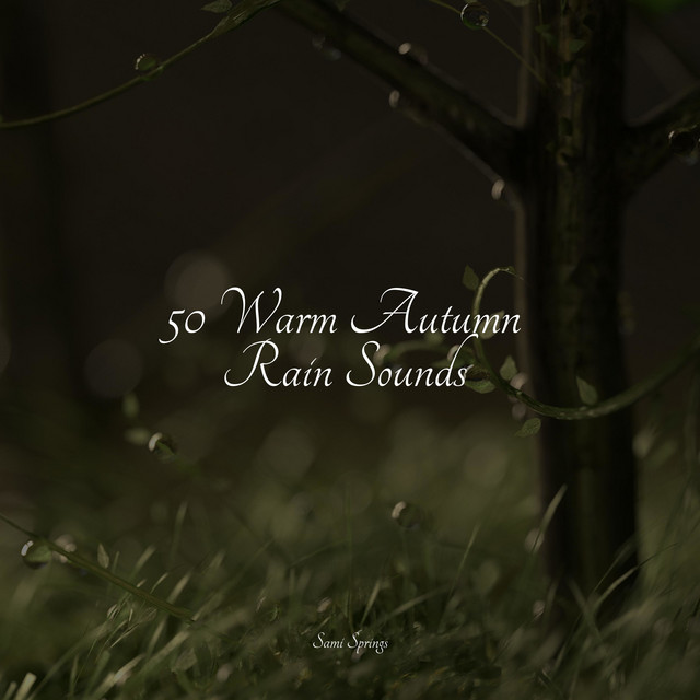 50 Calming Rain Sounds for Sleep and Meditation - Album by Relaxing Spa ...