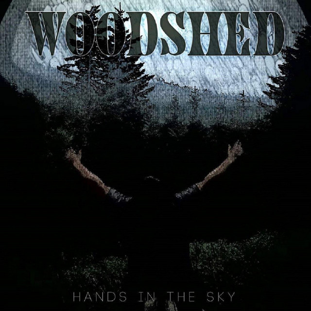 Hands in the Sky cover art
