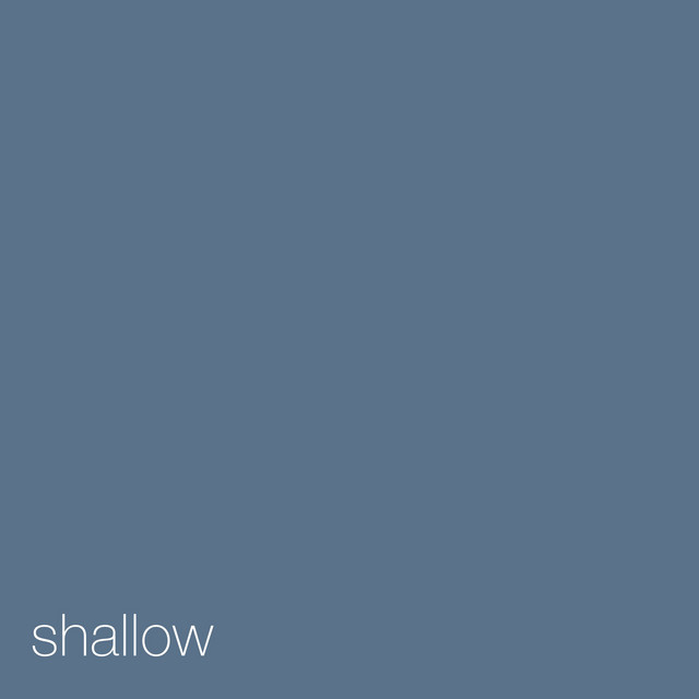 Shallow cover art