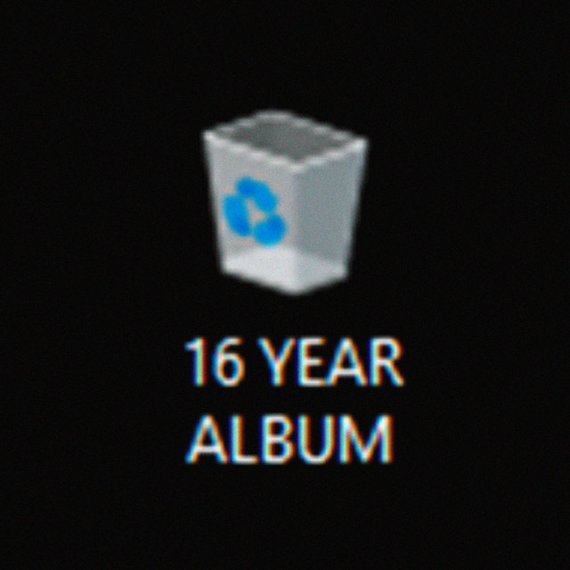 16 Year Album cover art