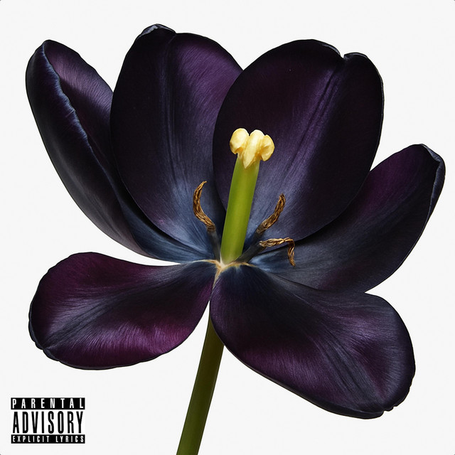 ART cover art