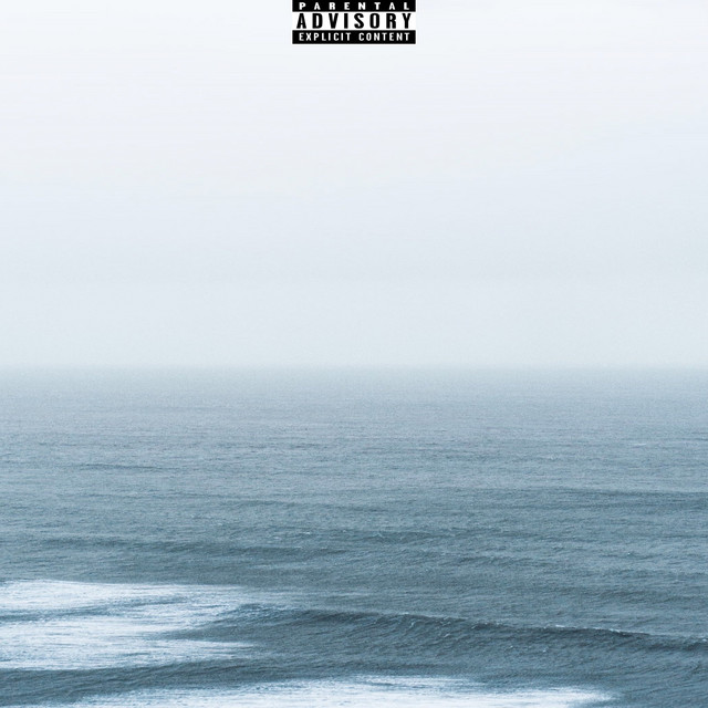 Control cover